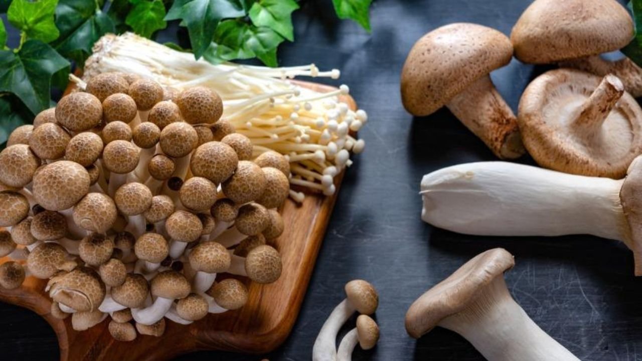 History of Mushroom Dunking